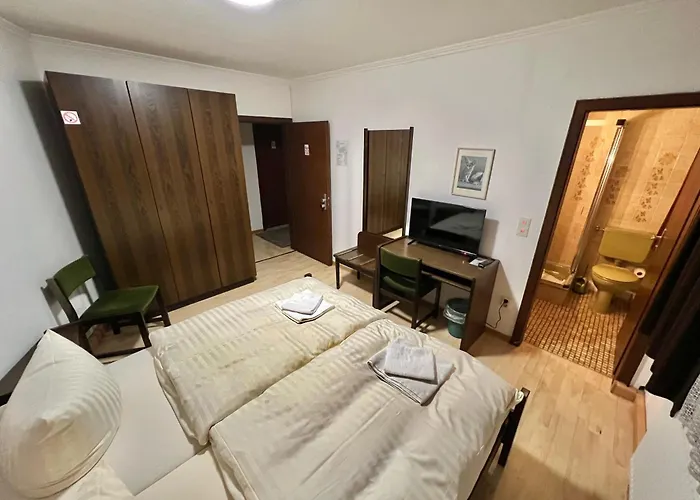 Ellermann Hotel Vlotho